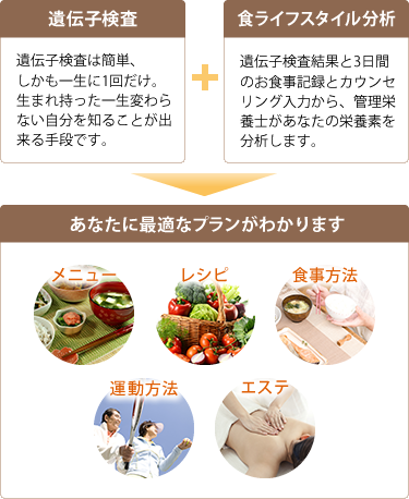 肥満関連遺伝子検査 | 株式会社肉体改造研究所 ニクケン