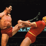 ジャイアント馬場