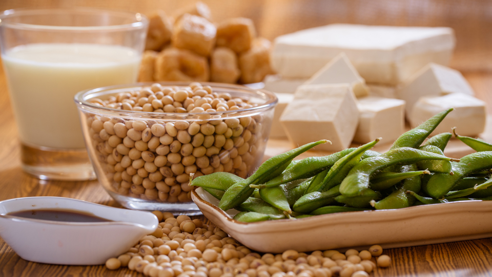 植物性タンパク質