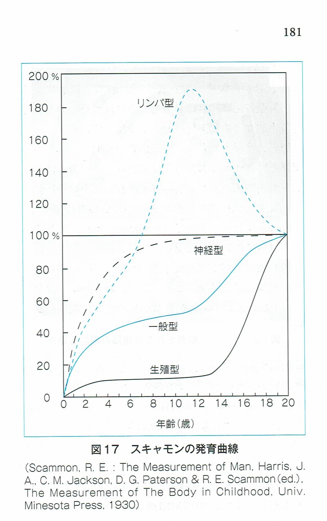 スキャモンの発育・発達曲線